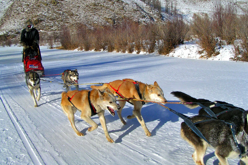 Mongolia